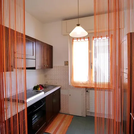 House Violino